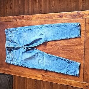 American Eagle High Rise Jeggings size 14 Short